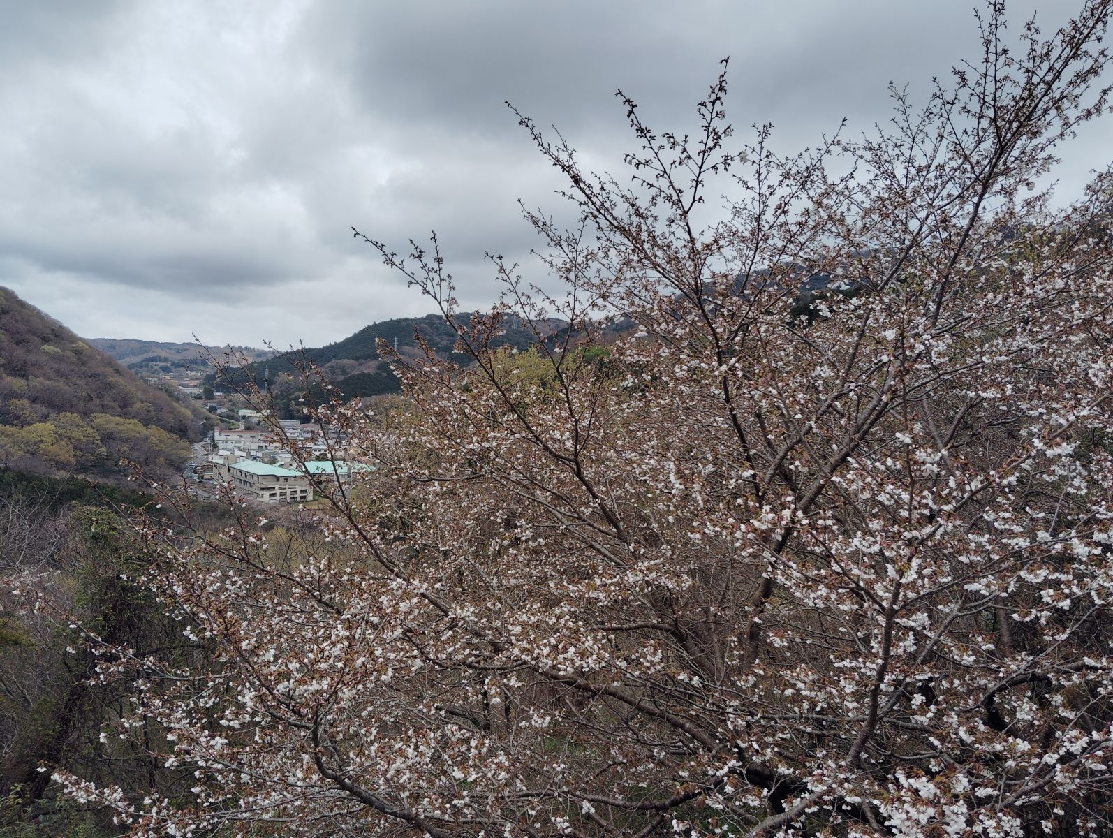 サムネイメージ